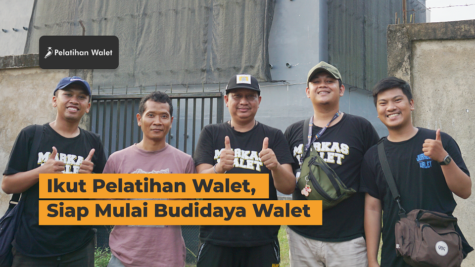 Penyakit Walet - Pelatihan Walet